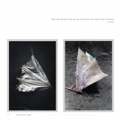 DIPPING INTO LIGHT; A Lifetime of Photography, p. 50