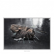 DIPPING INTO LIGHT; A Lifetime of Photography, p. 51