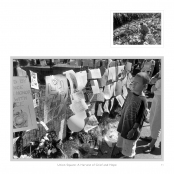 DIPPING INTO LIGHT; A Lifetime of Photography, p. 91