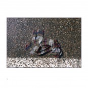 LOOK, p. 24, #Look_29