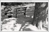 Poster with Quotation-011, #54-06-37