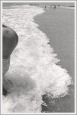 Poster-022, #88-09-9