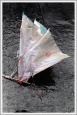 Poster-031, #260-09-16A