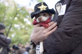 Sheriffdog3