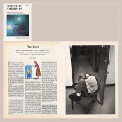 Scientific American - Autism, #481-93-19