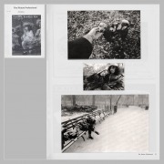 The Picture Professional, p. 21