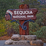 po_Sequoia-National-Park